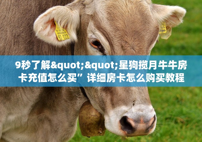 实测分享""微信炫酷牛牛房卡大厅链接""购买联系方式"房卡充值教程