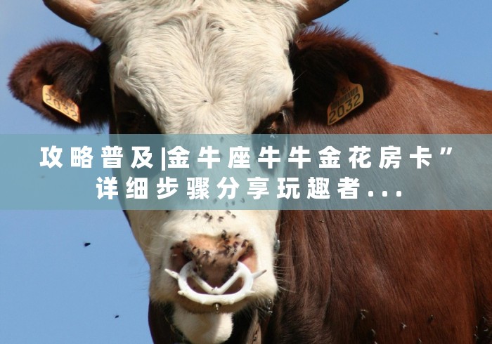 攻 略 普 及 |金 牛 座 牛 牛 金 花 房 卡 ” 详 细 步 骤 分 享 玩 趣 者 . . . 攻 略 普 及 |金 牛 座 牛 牛 金 花 房 卡 ” 详 细 步 骤 分 享 玩 趣 者 . . .