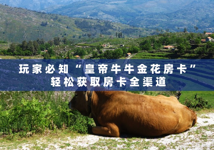 玩 家 必 知 “ 皇 帝 牛 牛 金 花 房 卡 ” 轻 松 获 取 房 卡 全 渠 道 玩 家 必 知 “ 皇 帝 牛 牛 金 花 房 卡 ” 轻 松 获 取 房 卡 全 渠 道