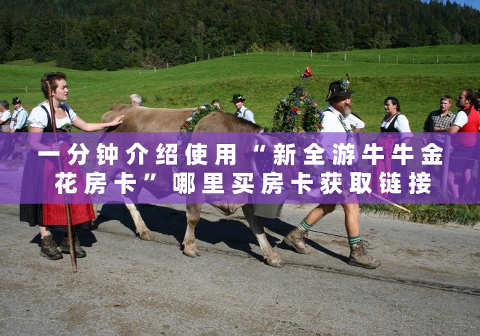 一 分 钟 介 绍 使 用 “ 新 全 游 牛 牛 金 花 房 卡 ” 哪 里 买 房 卡 获 取 链 接	