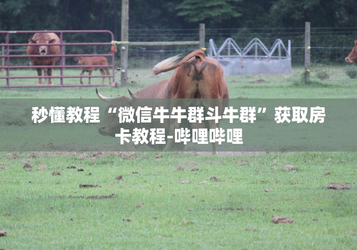 秒懂教程“微信牛牛群斗牛群”获取房卡教程-哔哩哔哩