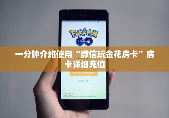 一分钟介绍使用“微信玩金花房卡”房卡详细充值
