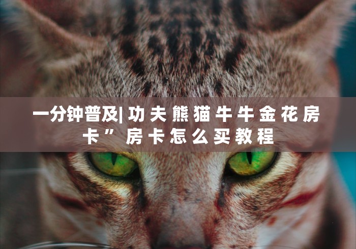 一分钟普及| 功 夫 熊 猫 牛 牛 金 花 房 卡 ” 房 卡 怎 么 买 教 程	
