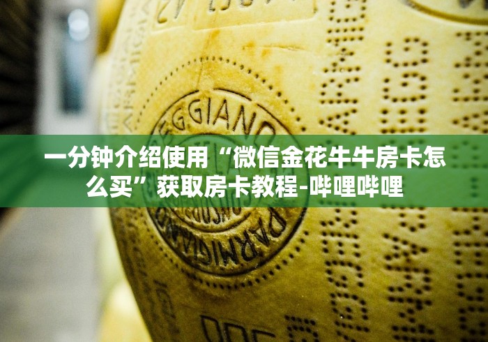 一分钟介绍使用“微信金花牛牛房卡怎么买”获取房卡教程-哔哩哔哩 一分钟介绍使用“微信金花牛牛房卡怎么买”获取房卡教程-哔哩哔哩