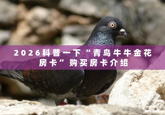 2 0 2 6 科 普 一 下 “ 青 鸟 牛 牛 金 花 房 卡 ” 购 买 房 卡 介 绍	