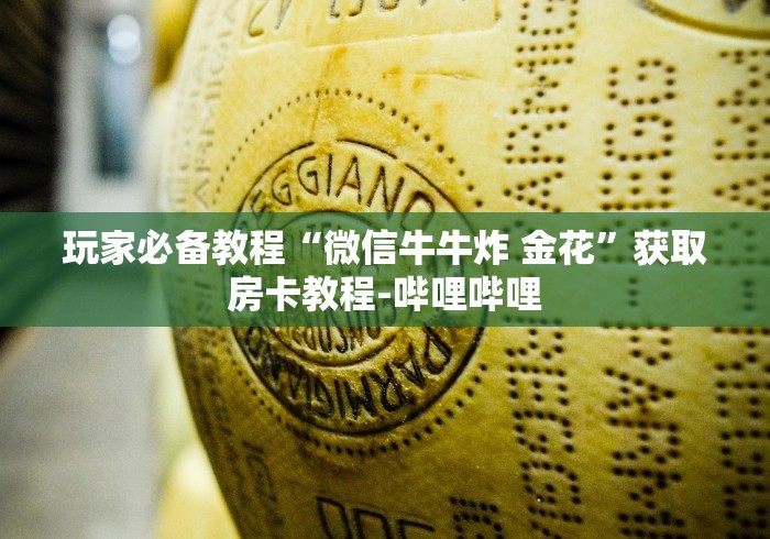 玩家必备教程“微信牛牛炸 金花”获取房卡教程-哔哩哔哩