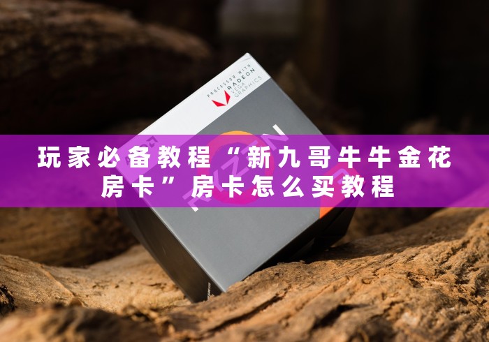 玩 家 必 备 教 程 “ 新 九 哥 牛 牛 金 花 房 卡 ” 房 卡 怎 么 买 教 程	