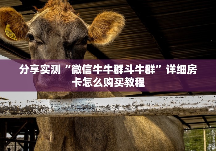 分享实测“微信牛牛群斗牛群”详细房卡怎么购买教程