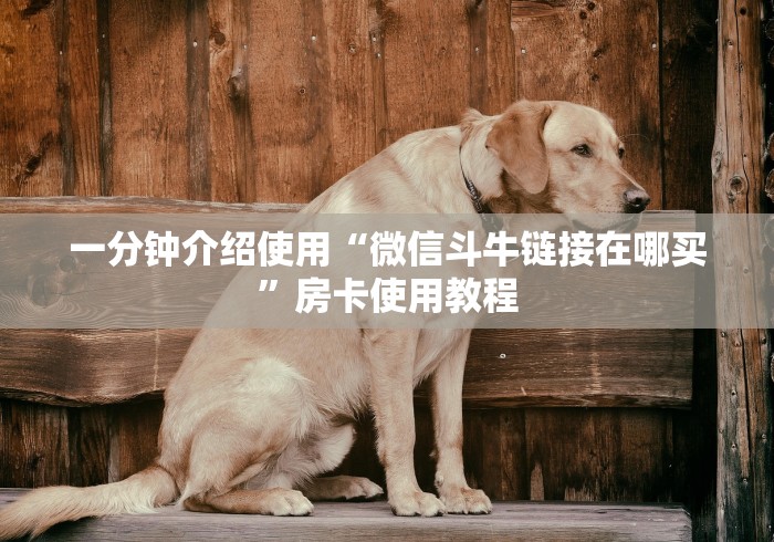 一分钟介绍使用“微信斗牛链接在哪买”房卡使用教程