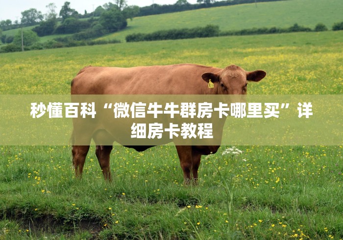 秒懂百科“微信牛牛群房卡哪里买”详细房卡教程