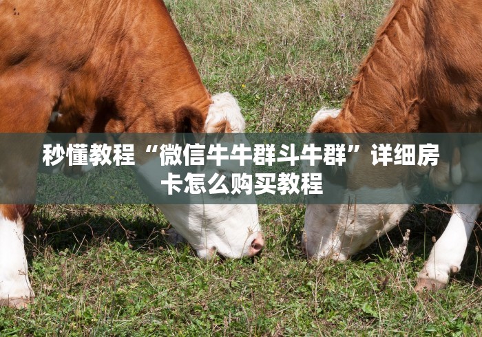 秒懂教程“微信牛牛群斗牛群”详细房卡怎么购买教程