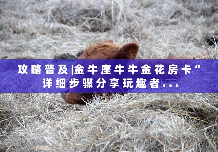 攻 略 普 及 |金 牛 座 牛 牛 金 花 房 卡 ” 详 细 步 骤 分 享 玩 趣 者 . . .	