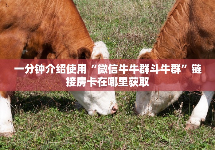 一分钟介绍使用“微信牛牛群斗牛群”链接房卡在哪里获取