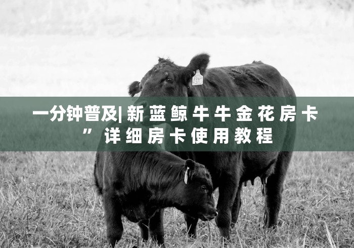 一分钟普及| 新 蓝 鲸 牛 牛 金 花 房 卡 ” 详 细 房 卡 使 用 教 程	