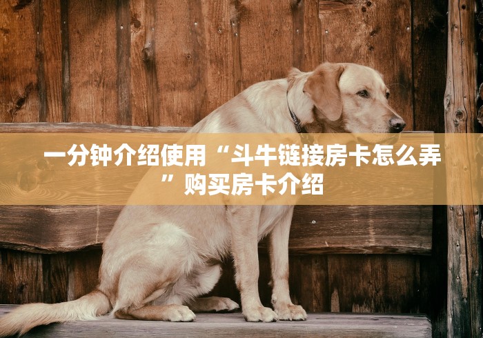一分钟介绍使用“斗牛链接房卡怎么弄”购买房卡介绍