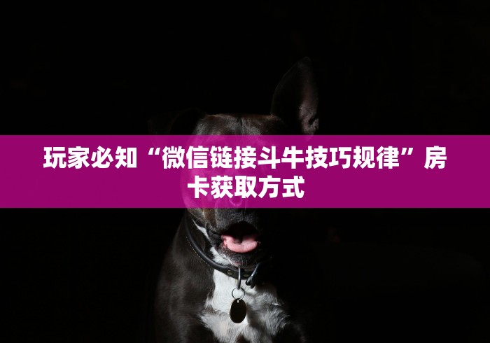玩家必知“微信链接斗牛技巧规律”房卡获取方式